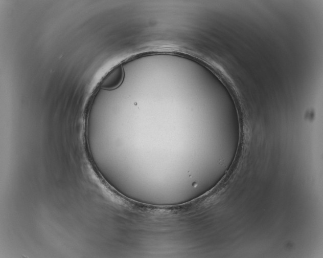 X0000111671424200908071447