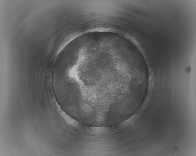 X0000111671425200908071447