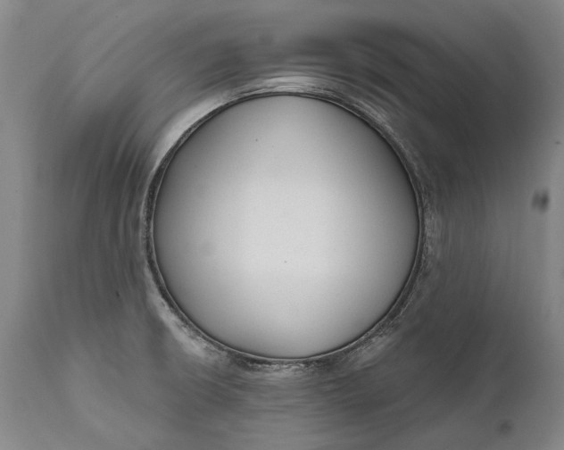 X0000111671426200908071447