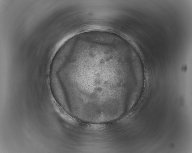 X0000111671427200908071447