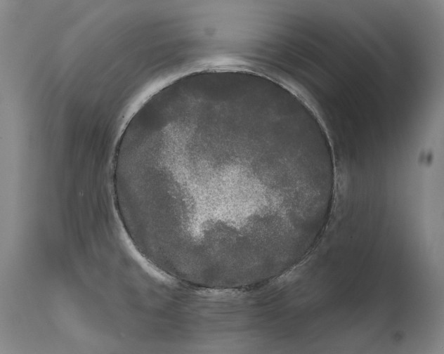 X0000111671429200908071447