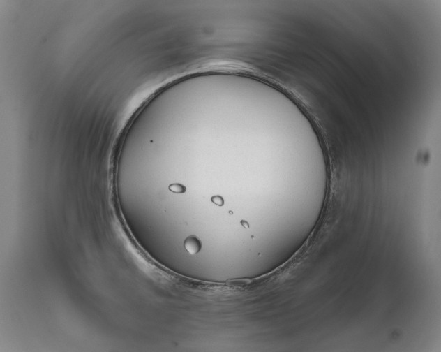 X0000111671430200908071447