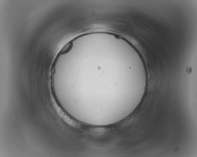 X0000111671431200908071447