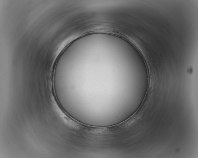 X0000111671434200908071447