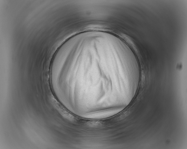 X0000111671435200908071447