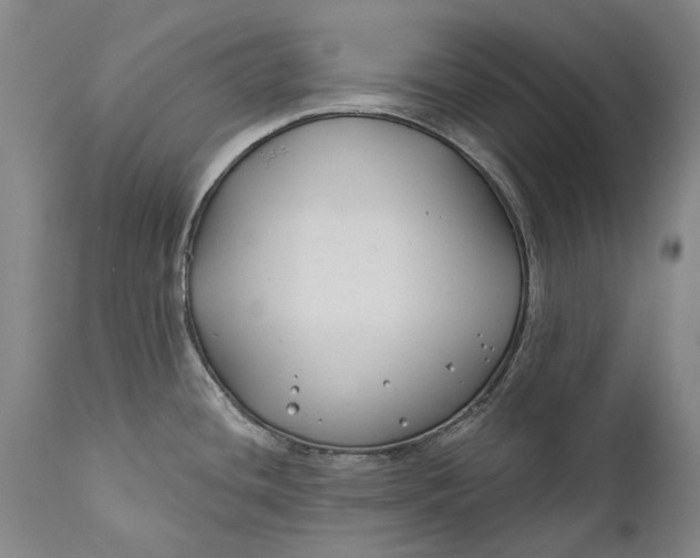 X0000111671436200908071447