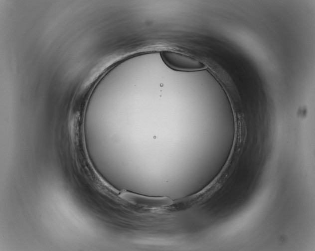 X0000111671438200908071447