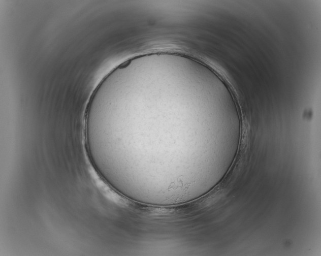 X0000111671439200908071447