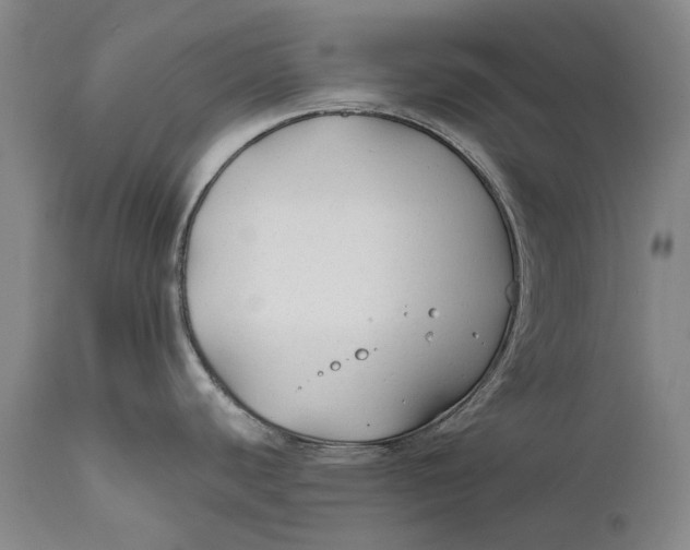 X0000111671440200908071447