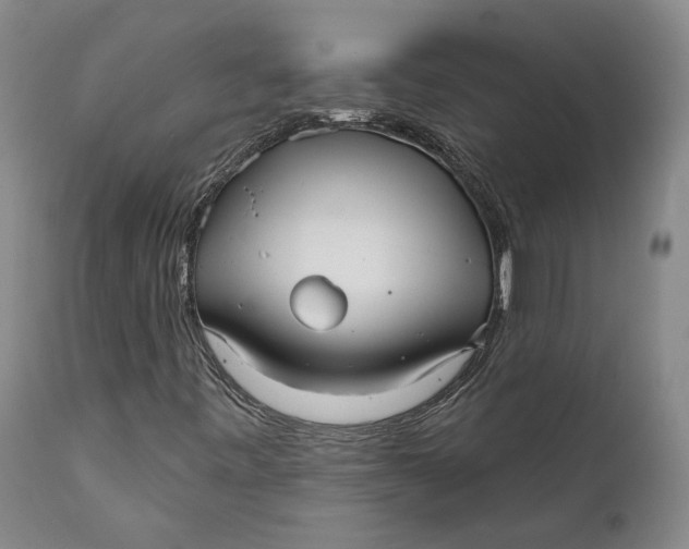 X0000111671443200908071446