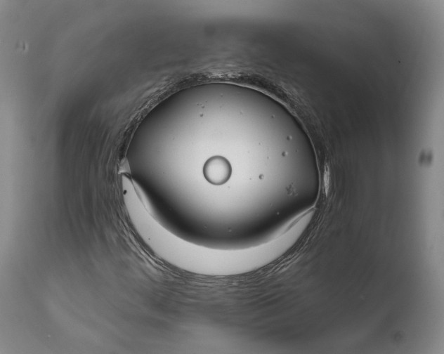 X0000111671444200908071446