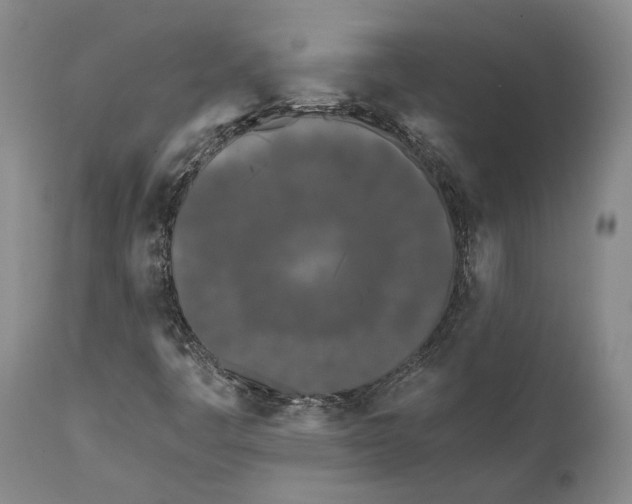 X0000111671445200908071446