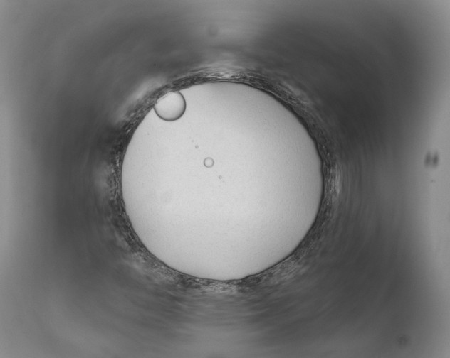 X0000111671446200908071446