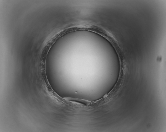 X0000111671448200908071446