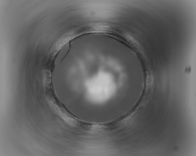 X0000111671449200908071446