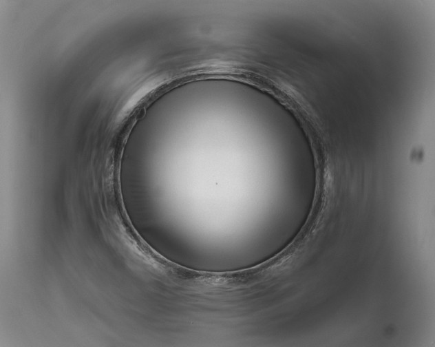 X0000111671450200908071446