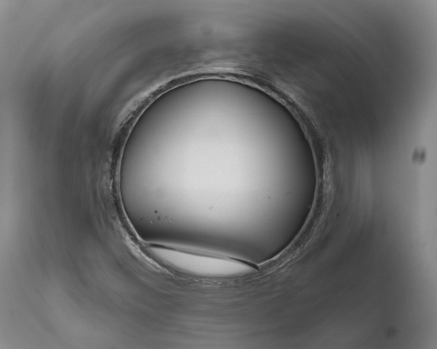 X0000111671452200908071446