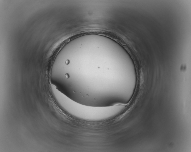 X0000111671453200908071446