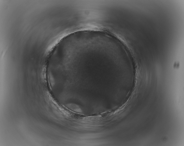 X0000111671455200908071446