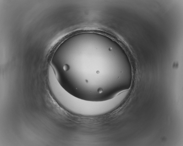 X0000111671456200908071446