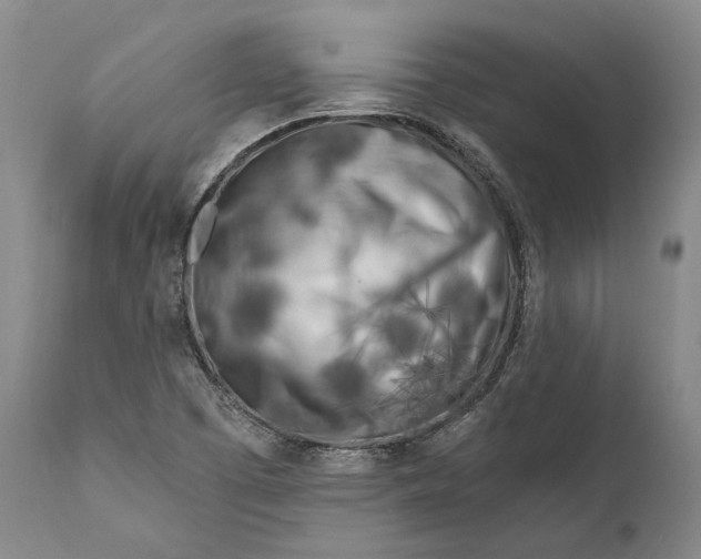 X0000111671457200908071446