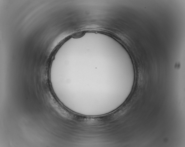 X0000111671458200908071446