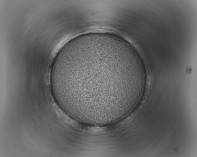 X0000111671459200908071446