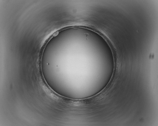 X0000111671460200908071446