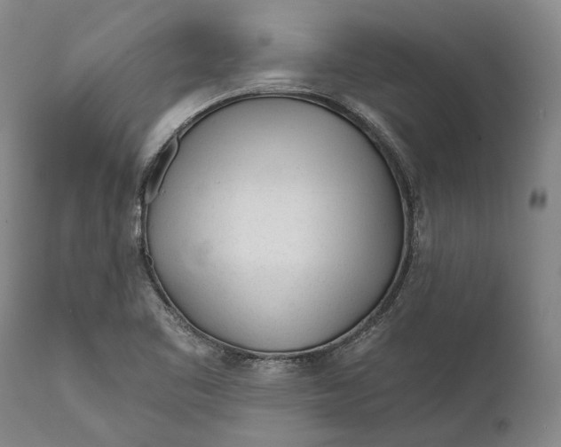 X0000111671461200908071446