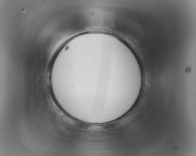 X0000111671462200908071446