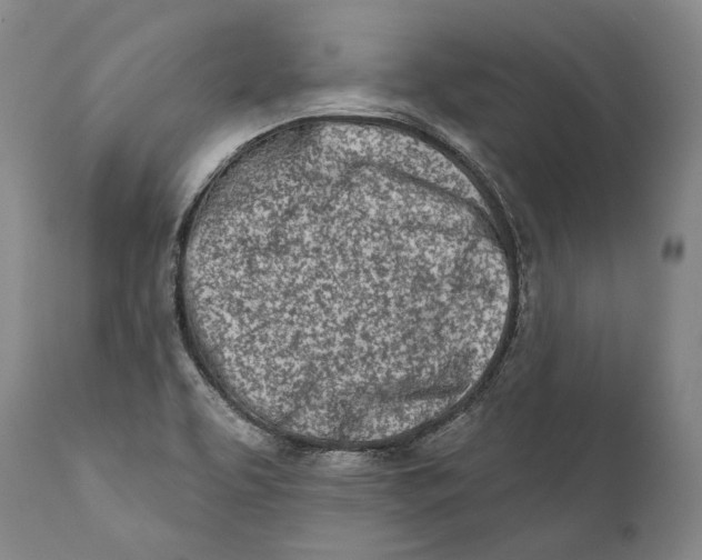 X0000111671463200908071446