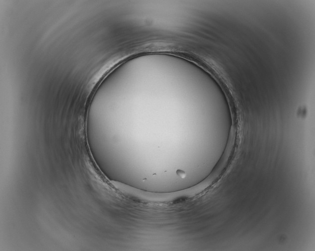 X0000111671465200908071446