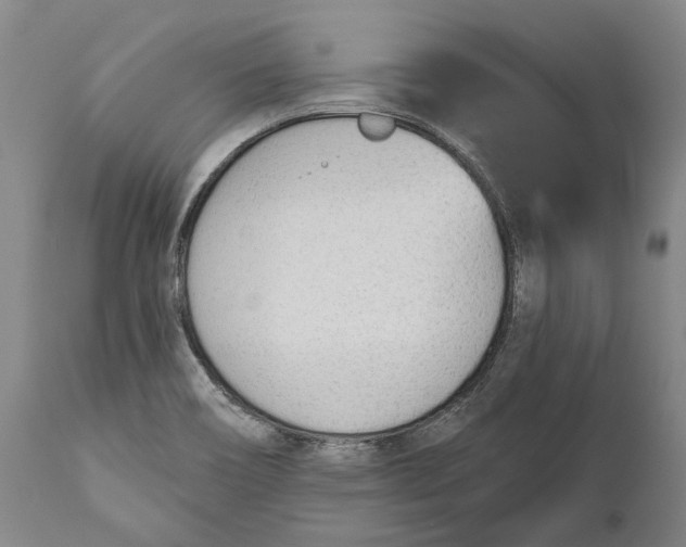 X0000111671466200908071446