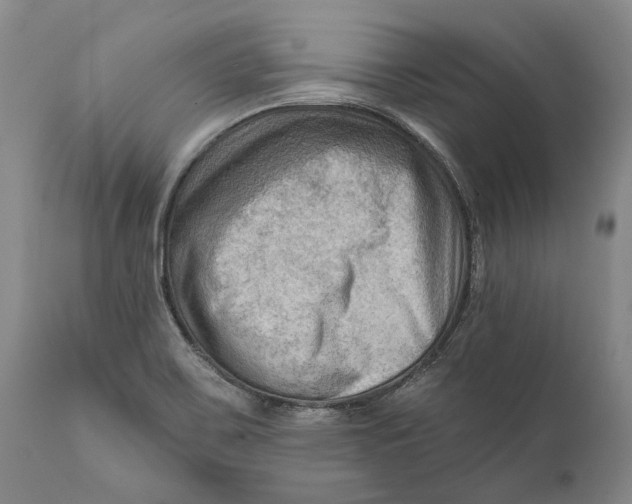 X0000111671467200908071446