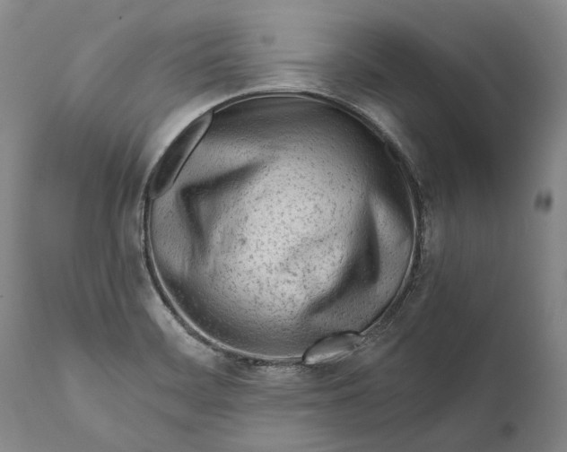 X0000111671468200908071446