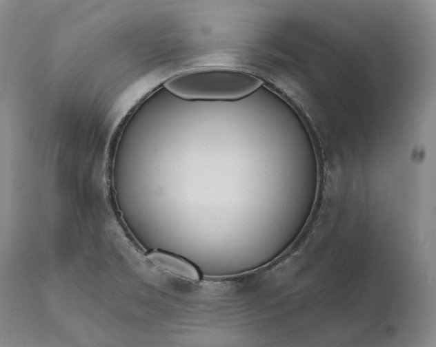 X0000111671469200908071446