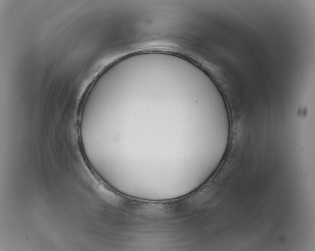 X0000111671470200908071446