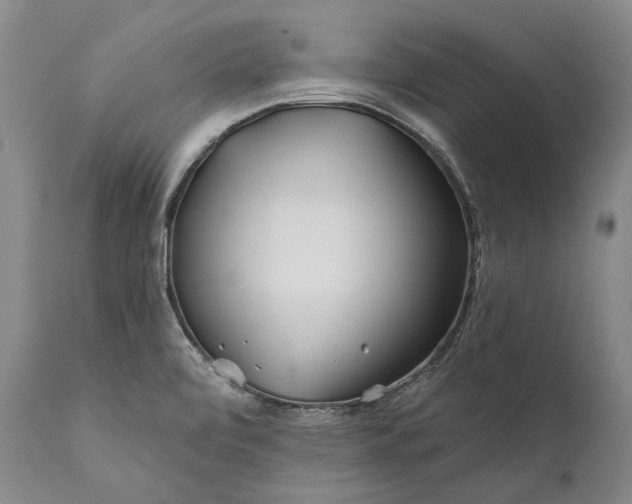 X0000111671472200908071446