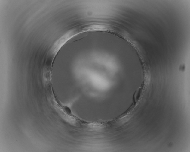 X0000111671473200908071446