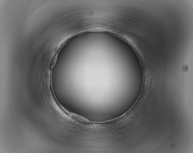 X0000111671476200908071446