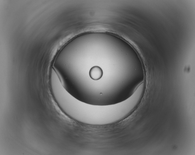 X0000111671477200908071446