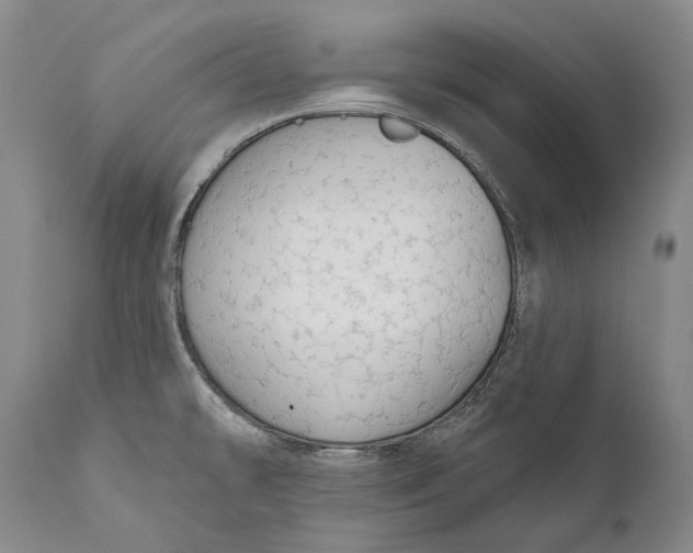 X0000111671478200908071446