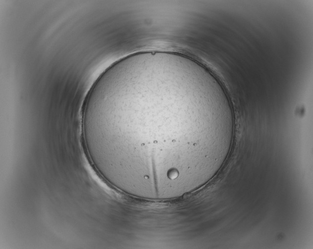 X0000111671479200908071446