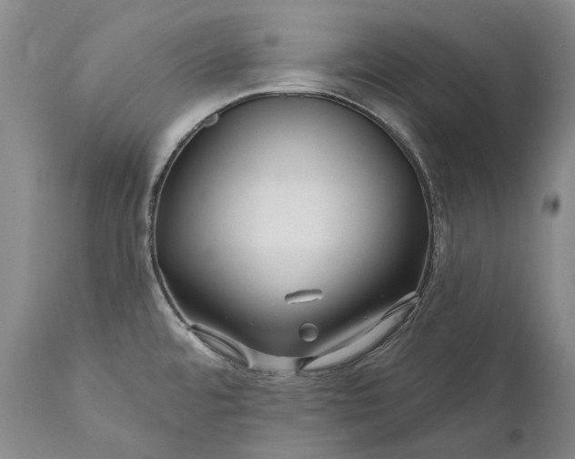 X0000111671480200908071446