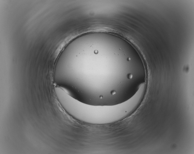 X0000111671481200908071446