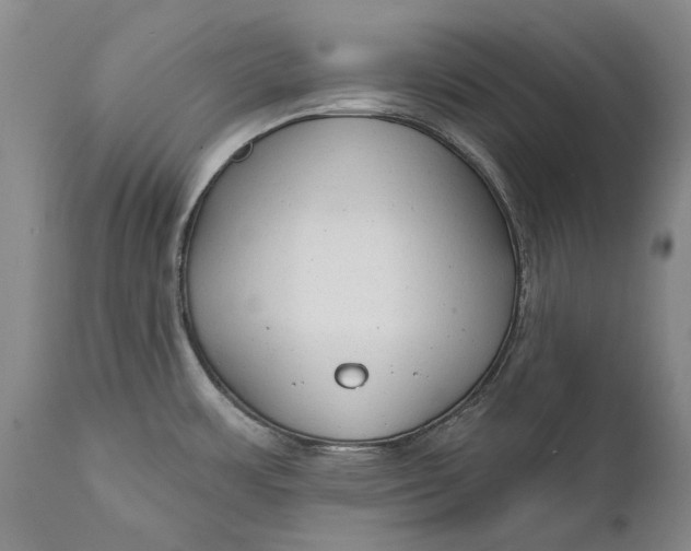 X0000111671483200908071446