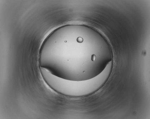 X0000111671484200908071446