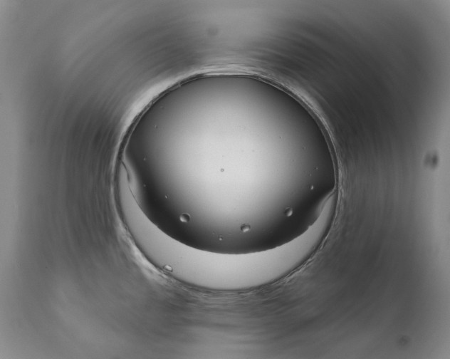 X0000111671485200908071446