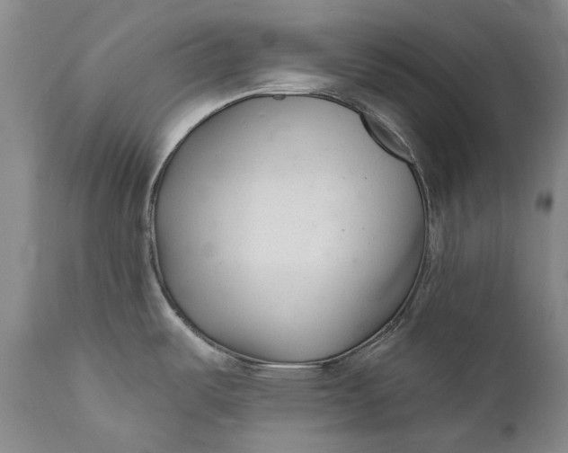 X0000111671487200908071446