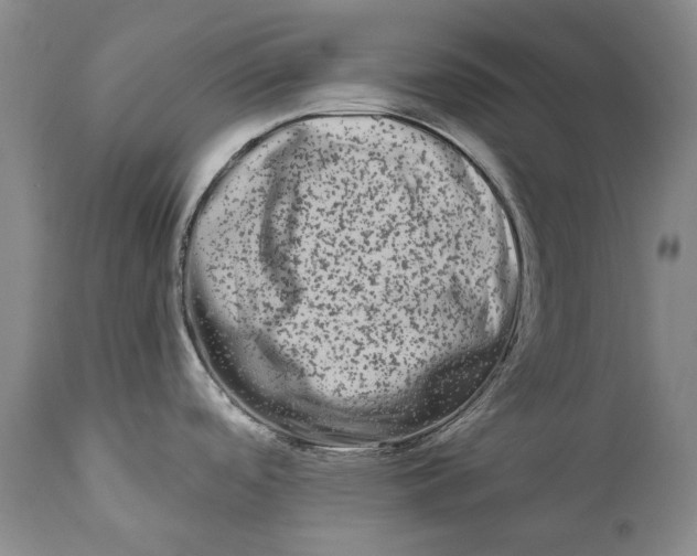 X0000111671488200908071446